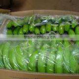 Price of Fresh Cavendish Banana thumbnail-2