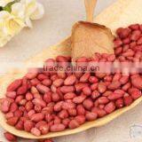 High Demand Export Products Factory Directly Sell Peanuts Kernel/red Skin/blanched/roasted Red Skin Peanuts thumbnail-4