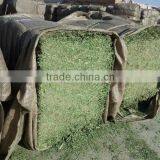 Stevia RA 50% -70% thumbnail-1