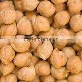 wholesale chickpeas at Best price