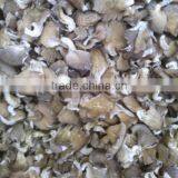 Dried Hot Sell Oyster Mushroom thumbnail-1
