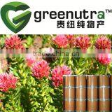Rhodiola Rosea Root Extract Powder