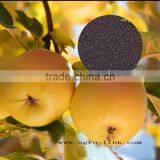 Great Brand of Agrolink High Quality Water Soluble Fertilizer Npk Mixed Fertilizer