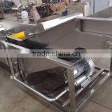 Customized Vegetable/Fruit Washing Process Line for Manufacturing thumbnail-2