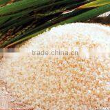 DP 65 Instant Nutritional Rice/artificial Rice Making Equipment /twin Screw Extruder in China