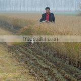 Mingyue New Product 4GL100 Bean Harvesting Machine Head thumbnail-6