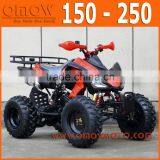 Hot Selling Cheap Price ATV 250cc thumbnail-1