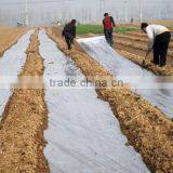 Agriculture Plastic Film With UV thumbnail-1