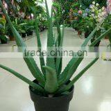 SJ30048946 Plastic Asparagus Plant/ Artificial Cactus Plant for Landscaping thumbnail-5