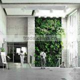 High Quality Artificial Wall Plant Artificial Succulent Plant Wall for Home Decor thumbnail-2