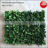 Preserved Boxwood Mat Flat Piece thumbnail-1
