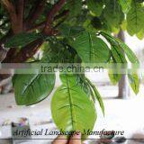 Wholesale Decorative Artificial Orange Tree,fiberglass Artificial Orange Tree thumbnail-3