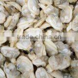 2016 BEST CHOICE CLAM SUPPLIER SHORT NECKED CLAM thumbnail-1