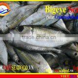 FROZEN BIGEYE SCAD WHOLE ROUND thumbnail-5