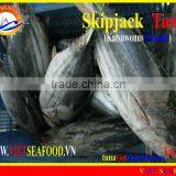FROZEN SKIPJACK TUNA WHOLE ROUND thumbnail-1