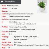Artificial Mini Aloe Little Plants Succulents Plants Artificial Mini Succulents thumbnail-4