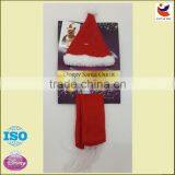 Pet Hat and Scarf for Dogs thumbnail-1