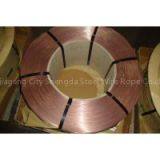 Uniform Coating 0.7% Sn Tyre Bead Wire for Vehicles 2160N Break Force 0.89mm thumbnail-1