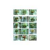 Artificial Flower thumbnail-1
