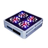 Cidly 140W Indoor Grow Tent Greenhouse LED Grow Light Fixture Full Spectrum thumbnail-2