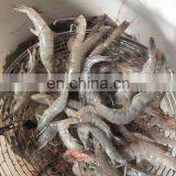 Машинка для очистки креветок от скорлупки и жилки в горячей продаже thumbnail-5