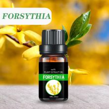 Forsythia oil Aromatherapy essential oil pure natural fragrance oil