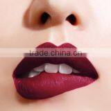 Customize Private Label Herby Lipstick Wholesale Matte Lipstick Brands Label Cosmetics Lipstick thumbnail-6