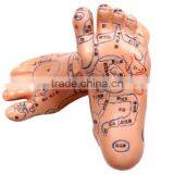 Hot Sale Acupuncture Foot Model thumbnail-1