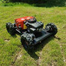 Smart Lawn Mower Euro 5/EPA Hazard-Free Operation Low Maintenance Cost, Grass Cutting Mower for Forestry Vigorun VTW550 thumbnail-1