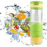 Bpa Free Food Grade Fruit Infuser Glass Fruit Infuser Sport Water Bottle 500ml thumbnail-1