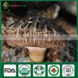 Organic Shiitake Fungus Whole Part Cap Stem Edibal Mushroom Lentinula Edodes thumbnail-1