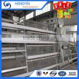 Hot Selling in South Africa A Type Layer Cage for Sale thumbnail-3