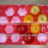 Protection Fresh Fruit Perforated Plastic Trays