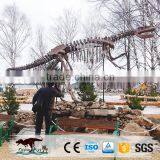 OA4016 High Quality Life Size Dinosaur Skeleton Model thumbnail-1