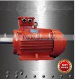 Shanghai Electric Motor thumbnail-1