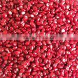 Red Weeding Masterbatch for Agricultural Mulching Film thumbnail-1