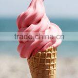 Make in China Fruit Ice Cream Maker ICM-5A thumbnail-2
