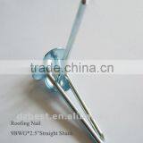 GI Roofing Nail thumbnail-1