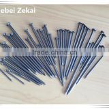 Nice price quality common nails for building
