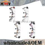 Compound Bow Set--right Hand Bow thumbnail-1