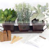 Kitchen Herb Garden (Chocolate) - 3 Metal Containers w Tray