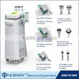 Fat Reduce Multifunctional Cryo Cavitation RFvacuum 5 Handle Cryolipolysi Machine With CE Weight Loss thumbnail-1