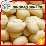 Shandong Peeled Peanut Price thumbnail-2