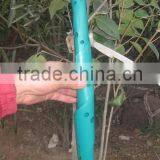 Tree Guard thumbnail-1