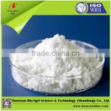 Water Soluble Compound Fertilizer 19-19-19 with TE