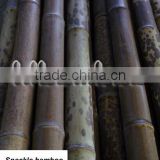 Natural Speckle Bamboo Pole 2.25" (HL-SPBP)