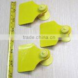 RFID Chip Tracking for Livestock Management thumbnail-4