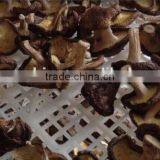 2016 China Best Sale Mushroom Walnut Drying Machine For Cultivation thumbnail-5