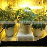 Green Room Grow Tent for Hydroponics thumbnail-1