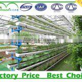 2016 New Type Agriculture Greenhouse thumbnail-3